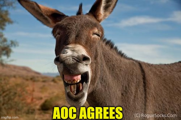 Donkey Jackass Braying | AOC AGREES | image tagged in donkey jackass braying | made w/ Imgflip meme maker