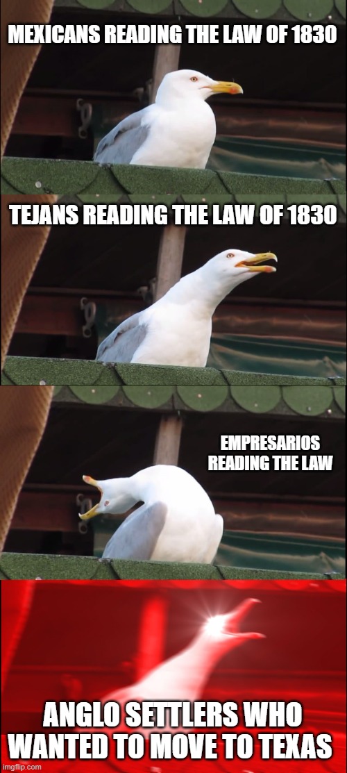 mexican law of 1830 be like. | MEXICANS READING THE LAW OF 1830; TEJANS READING THE LAW OF 1830; EMPRESARIOS READING THE LAW; ANGLO SETTLERS WHO WANTED TO MOVE TO TEXAS | image tagged in memes,inhaling seagull | made w/ Imgflip meme maker