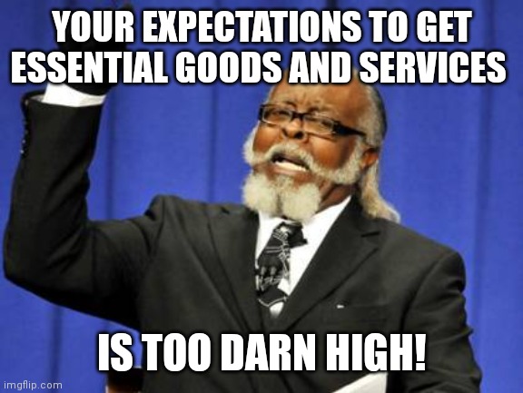 Gotta lower em' | YOUR EXPECTATIONS TO GET ESSENTIAL GOODS AND SERVICES; IS TOO DARN HIGH! | image tagged in memes,too damn high,biden,democrats,economy | made w/ Imgflip meme maker