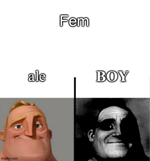 . | Fem; BOY; ale | image tagged in unnecessary tags,teacher's copy,memes | made w/ Imgflip meme maker