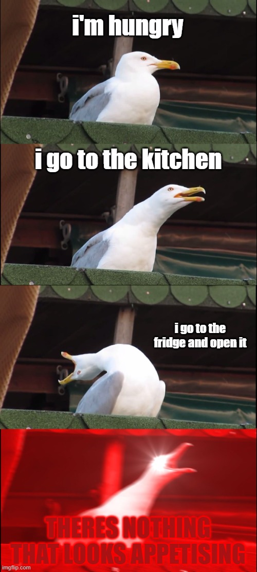 Inhaling Seagull | i'm hungry; i go to the kitchen; i go to the fridge and open it; THERES NOTHING THAT LOOKS APPETISING | image tagged in memes,inhaling seagull | made w/ Imgflip meme maker