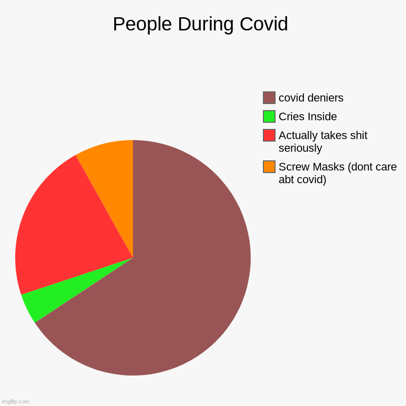 People During Covid | Screw Masks (dont care abt covid), Actually takes shit seriously, Cries Inside, covid deniers | image tagged in charts,pie charts | made w/ Imgflip chart maker
