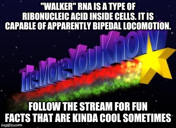 woah |  "WALKER" RNA IS A TYPE OF RIBONUCLEIC ACID INSIDE CELLS. IT IS CAPABLE OF APPARENTLY BIPEDAL LOCOMOTION. FOLLOW THE STREAM FOR FUN FACTS THAT ARE KINDA COOL SOMETIMES | image tagged in the more you know | made w/ Imgflip meme maker