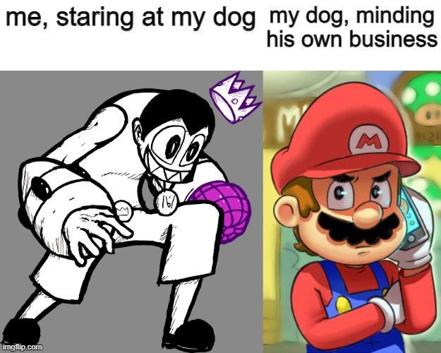 me, staring at my dog my dog, minding his own business | image tagged in mario calls the police | made w/ Imgflip meme maker
