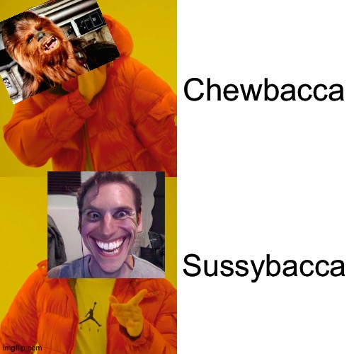 MEGASUSIMPOSTER | Chewbacca; Sussybacca | image tagged in memes,drake hotline bling | made w/ Imgflip meme maker