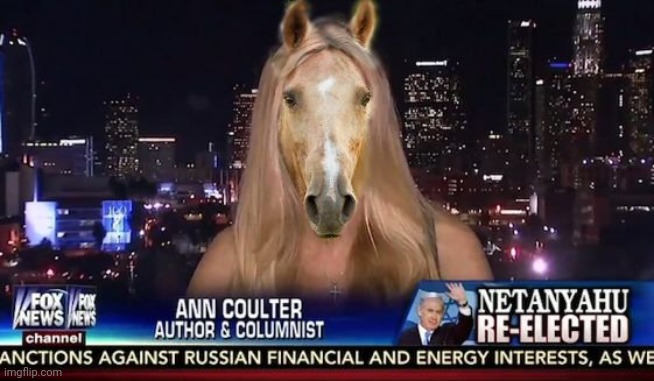 ann coulter horse face ivermectin fox news | image tagged in ann coulter horse face ivermectin fox news | made w/ Imgflip meme maker
