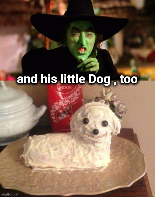 and his little Dog , too | image tagged in wicked witch,perro torta | made w/ Imgflip meme maker