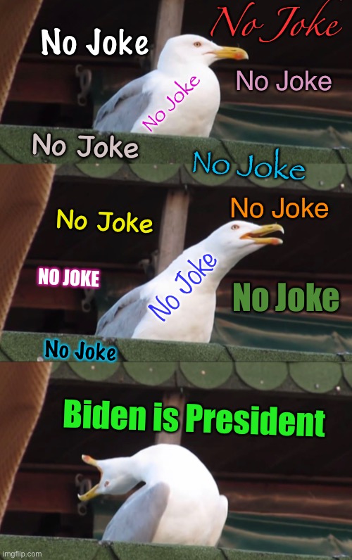 True story | No Joke; No Joke; No Joke; No Joke; No Joke; No Joke; No Joke; No Joke; No Joke; NO JOKE; No Joke; No Joke; Biden is President | image tagged in memes,biden,what a joke,the whole dem political party is so far gone,who do they represent,evil lying country destroyers | made w/ Imgflip meme maker
