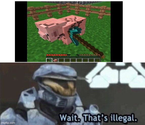 Wait. That’s illegal | image tagged in wait that s illegal,memes,minecraft,lol | made w/ Imgflip meme maker