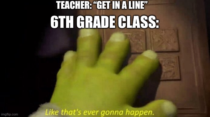 Or at least in my 6th grade class |  TEACHER: “GET IN A LINE”; 6TH GRADE CLASS: | image tagged in like that's ever gonna happen | made w/ Imgflip meme maker