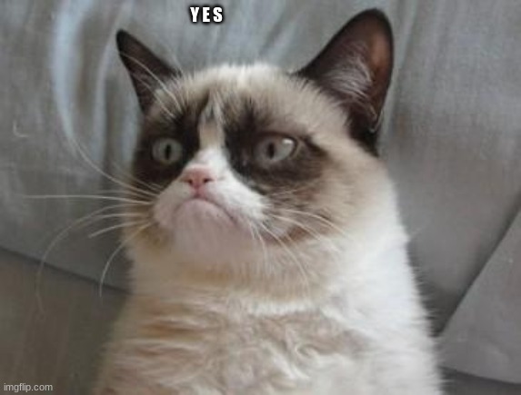 grumpy-cat-yes | Y E S | image tagged in grumpy-cat-yes | made w/ Imgflip meme maker