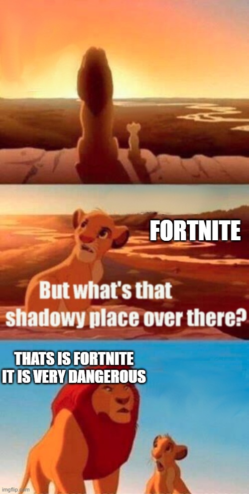 Simba Shadowy Place | FORTNITE; THATS IS FORTNITE IT IS VERY DANGEROUS | image tagged in memes,simba shadowy place | made w/ Imgflip meme maker