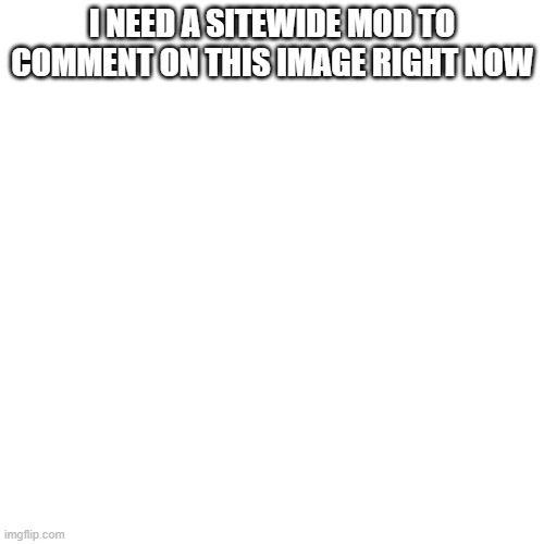 Blank Transparent Square Meme | I NEED A SITEWIDE MOD TO COMMENT ON THIS IMAGE RIGHT NOW | image tagged in memes,blank transparent square | made w/ Imgflip meme maker