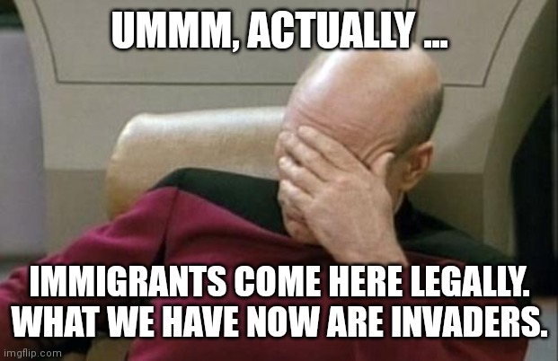 FacePalm | UMMM, ACTUALLY ... IMMIGRANTS COME HERE LEGALLY.
WHAT WE HAVE NOW ARE INVADERS. | image tagged in facepalm | made w/ Imgflip meme maker