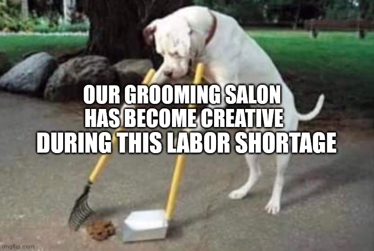 labor shortage | OUR GROOMING SALON 
HAS BECOME CREATIVE; DURING THIS LABOR SHORTAGE | image tagged in funny dogs | made w/ Imgflip meme maker
