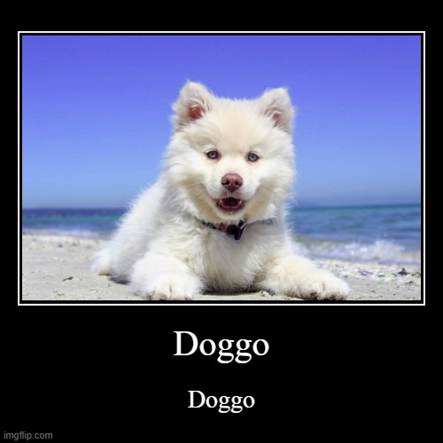 Doggo | made w/ Imgflip demotivational maker