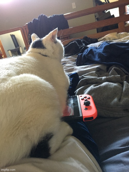 1. I need to get up and pee 2. Can I keep playing Pokémon sword or no | made w/ Imgflip meme maker