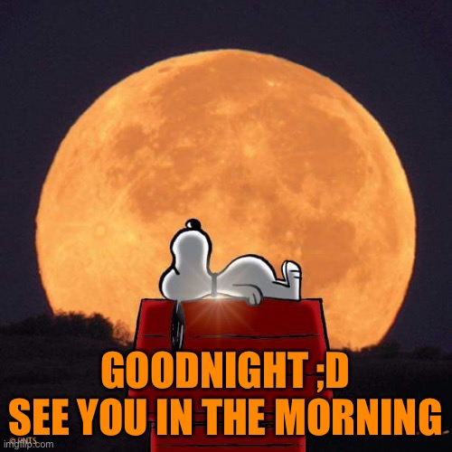 Goodnight ;D | GOODNIGHT ;D SEE YOU IN THE MORNING | image tagged in goodnight | made w/ Imgflip meme maker