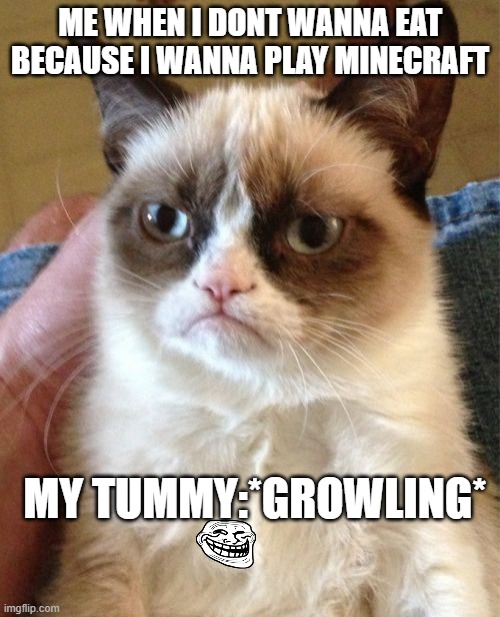 Grumpy Cat |  ME WHEN I DONT WANNA EAT BECAUSE I WANNA PLAY MINECRAFT; MY TUMMY:*GROWLING* | image tagged in memes,grumpy cat | made w/ Imgflip meme maker