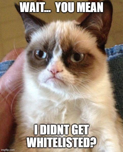 Grumpy Cat Meme | WAIT...  YOU MEAN; I DIDNT GET WHITELISTED? | image tagged in memes,grumpy cat | made w/ Imgflip meme maker