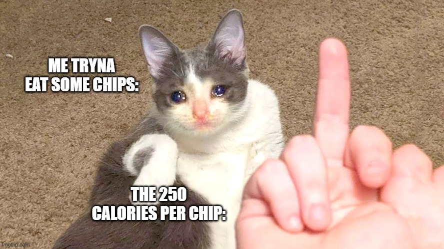 relatable | ME TRYNA EAT SOME CHIPS:; THE 250 CALORIES PER CHIP: | image tagged in middle finger cat,funny,memes | made w/ Imgflip meme maker