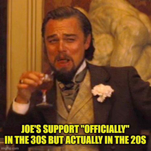 Laughing Leo Meme | JOE'S SUPPORT "OFFICIALLY" IN THE 30S BUT ACTUALLY IN THE 20S | image tagged in memes,laughing leo | made w/ Imgflip meme maker
