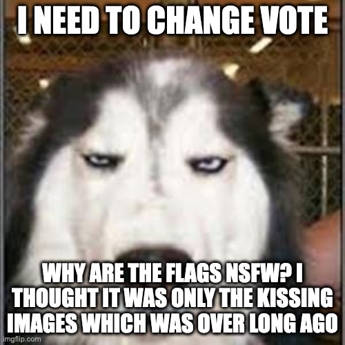 dude | I NEED TO CHANGE VOTE; WHY ARE THE FLAGS NSFW? I THOUGHT IT WAS ONLY THE KISSING IMAGES WHICH WAS OVER LONG AGO | image tagged in huskeh | made w/ Imgflip meme maker