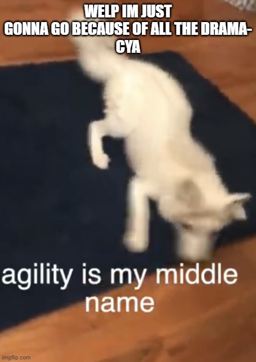 ADHD Fox | WELP IM JUST GONNA GO BECAUSE OF ALL THE DRAMA-
CYA | image tagged in adhd fox | made w/ Imgflip meme maker