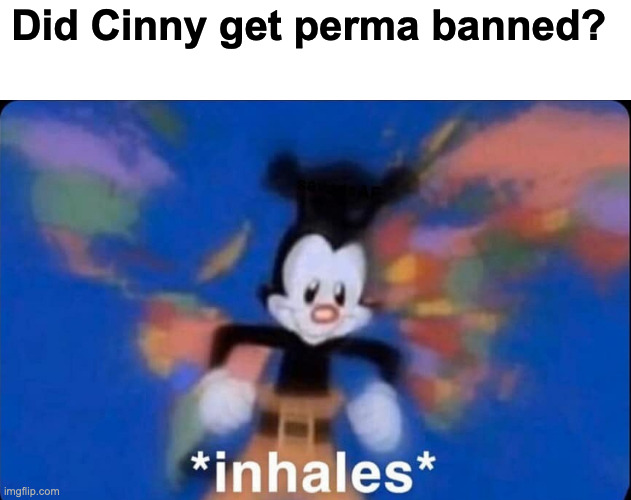 And she lost followers lmao | Did Cinny get perma banned? | image tagged in inhaling yako | made w/ Imgflip meme maker