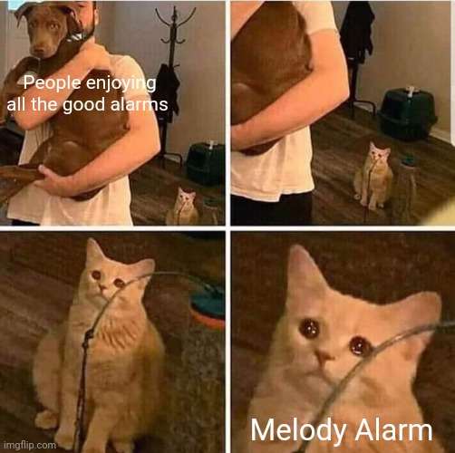 Image Title | People enjoying all the good alarms; Melody Alarm | image tagged in cat left out crying,android,alarm clock | made w/ Imgflip meme maker