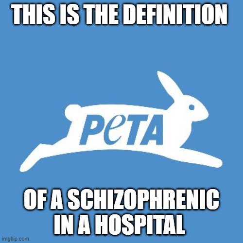 Peta is schizophrenic | THIS IS THE DEFINITION; OF A SCHIZOPHRENIC IN A HOSPITAL | image tagged in peta sucks | made w/ Imgflip meme maker