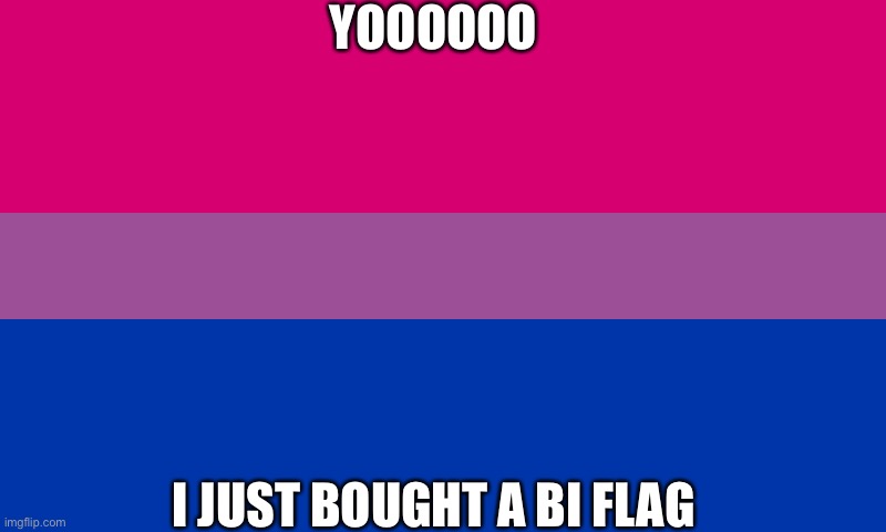 Bi flag | YOOOOOO; I JUST BOUGHT A BI FLAG | image tagged in bi flag | made w/ Imgflip meme maker