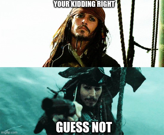jack sparrow | YOUR KIDDING RIGHT; GUESS NOT | image tagged in gone wrong | made w/ Imgflip meme maker