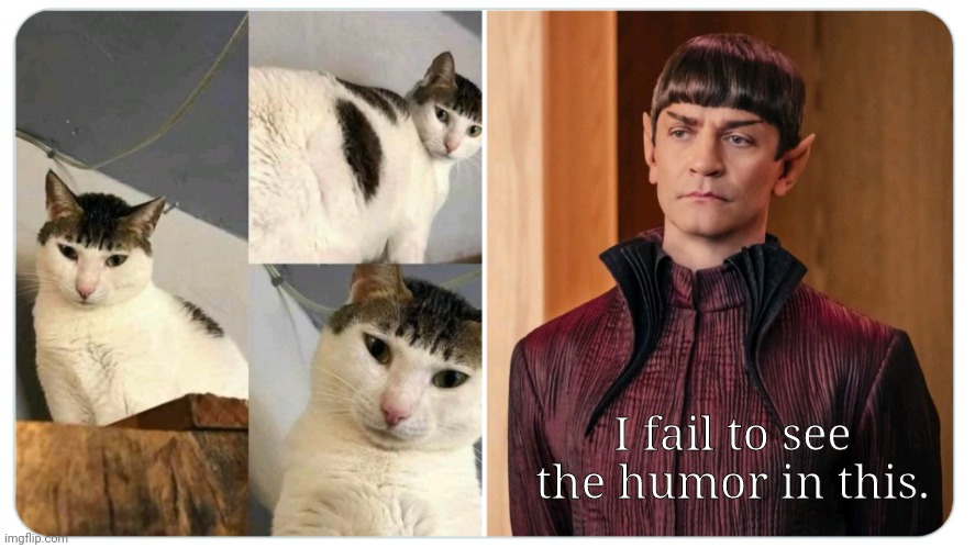 Vulcans have No sense of humor | I fail to see the humor in this. | image tagged in star trek | made w/ Imgflip meme maker