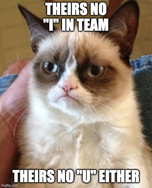 Grumpy Cat Meme | THEIRS NO "I" IN TEAM; THEIRS NO "U" EITHER | image tagged in memes,grumpy cat | made w/ Imgflip meme maker