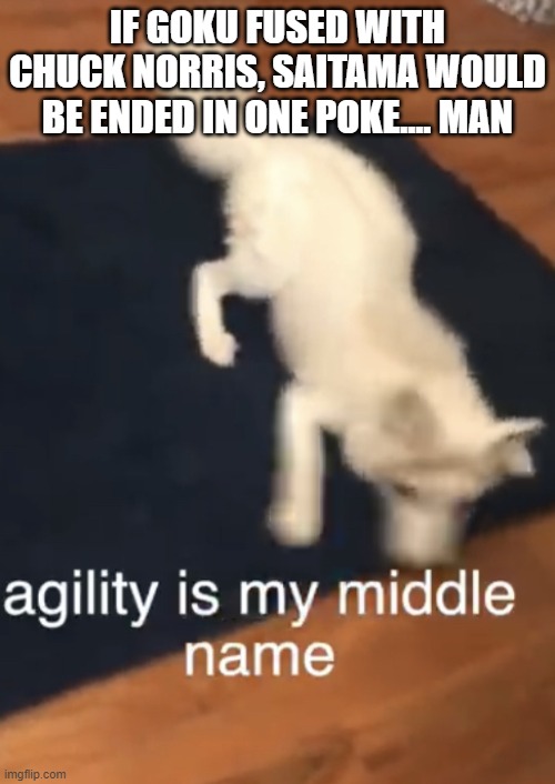 ADHD Fox | IF GOKU FUSED WITH CHUCK NORRIS, SAITAMA WOULD BE ENDED IN ONE POKE.... MAN | image tagged in adhd fox | made w/ Imgflip meme maker