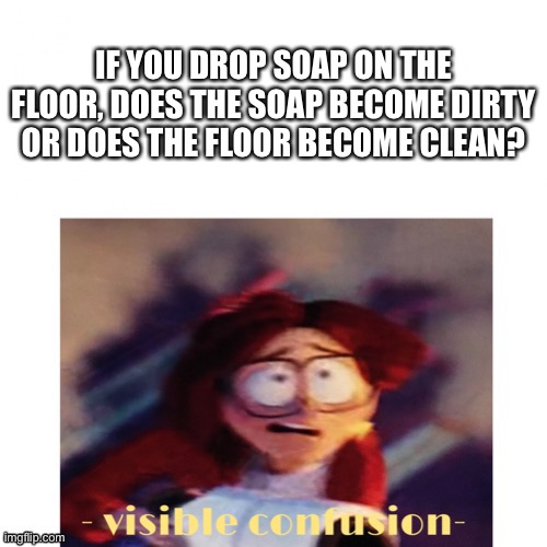Well, which one? | IF YOU DROP SOAP ON THE FLOOR, DOES THE SOAP BECOME DIRTY OR DOES THE FLOOR BECOME CLEAN? | image tagged in memes | made w/ Imgflip meme maker