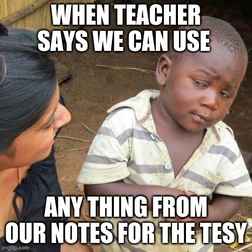 Testing Be Like.... | WHEN TEACHER SAYS WE CAN USE; ANY THING FROM OUR NOTES FOR THE TESY | image tagged in memes,third world skeptical kid | made w/ Imgflip meme maker
