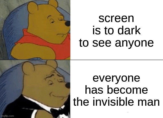 the screen darkness | screen is to dark to see anyone; everyone has become the invisible man | image tagged in memes,tuxedo winnie the pooh | made w/ Imgflip meme maker