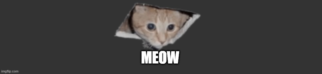 MemeCat | MEOW | image tagged in memecat,cats,meow | made w/ Imgflip meme maker