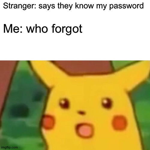 Surprised Pikachu | Stranger: says they know my password; Me: who forgot | image tagged in memes,surprised pikachu | made w/ Imgflip meme maker