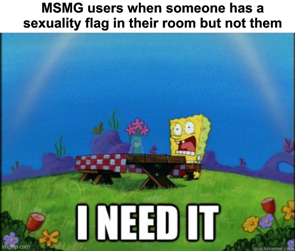 I NEED TO ASK MY PARENTS TO GET A STRAIGHT PRIDE FLAG.  BUT I DON’T KNOW HOW THEY WILL RESPOND | MSMG users when someone has a sexuality flag in their room but not them | image tagged in spongebob i need it | made w/ Imgflip meme maker