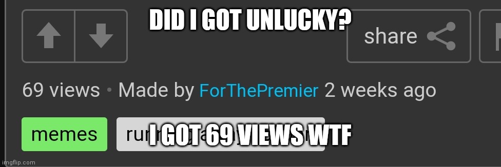 Wtf | DID I GOT UNLUCKY? I GOT 69 VIEWS WTF | image tagged in 69,unlucky me,wtf,wth | made w/ Imgflip meme maker