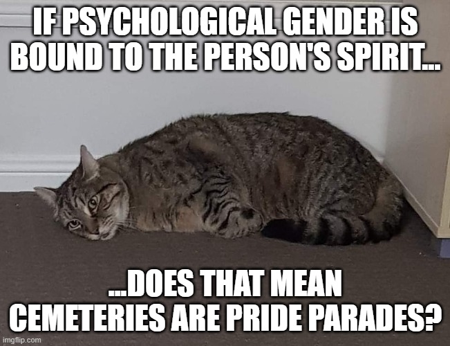 I might be drunk again xD | IF PSYCHOLOGICAL GENDER IS BOUND TO THE PERSON'S SPIRIT... ...DOES THAT MEAN CEMETERIES ARE PRIDE PARADES? | image tagged in jaws,cat,memes,lgbtq,spirit | made w/ Imgflip meme maker