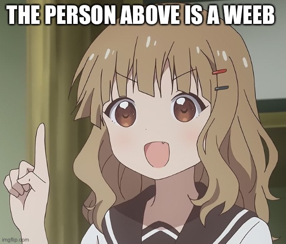 Anime is illegal >:( | THE PERSON ABOVE IS A WEEB | image tagged in the person above me,stuff | made w/ Imgflip meme maker