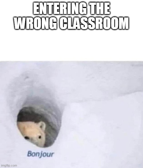 Bonjour | ENTERING THE WRONG CLASSROOM | image tagged in bonjour | made w/ Imgflip meme maker
