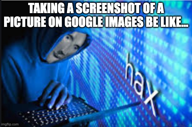 lol | TAKING A SCREENSHOT OF A PICTURE ON GOOGLE IMAGES BE LIKE... | image tagged in hax | made w/ Imgflip meme maker