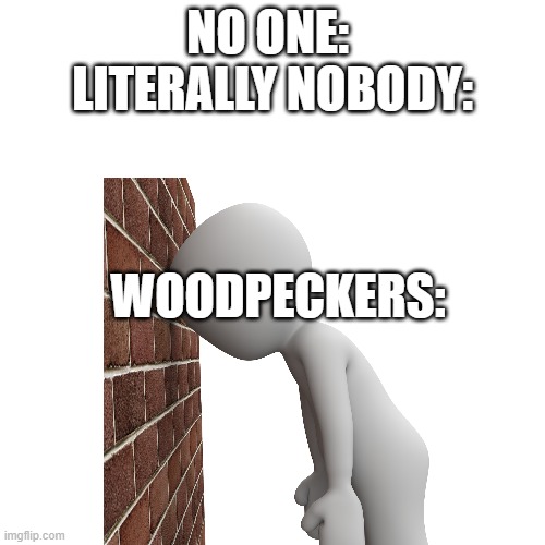 woodpeckers be like | NO ONE: 
LITERALLY NOBODY:; WOODPECKERS: | image tagged in blank white template | made w/ Imgflip meme maker