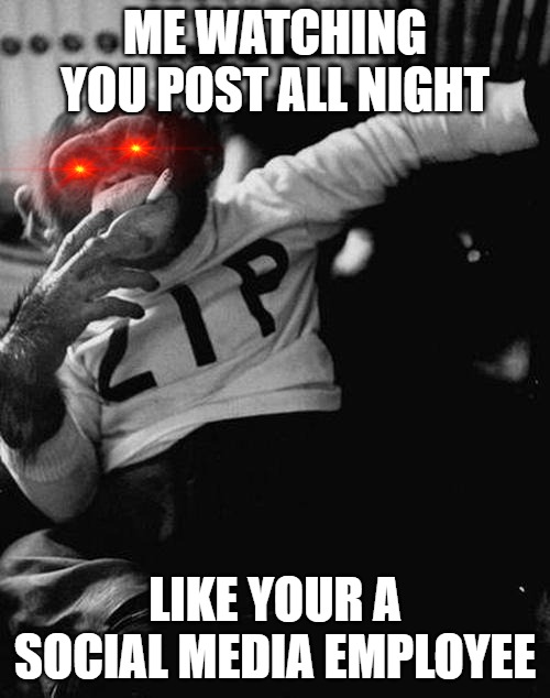 monkey bisness | ME WATCHING YOU POST ALL NIGHT; LIKE YOUR A SOCIAL MEDIA EMPLOYEE | image tagged in smoking monkey,monkey | made w/ Imgflip meme maker