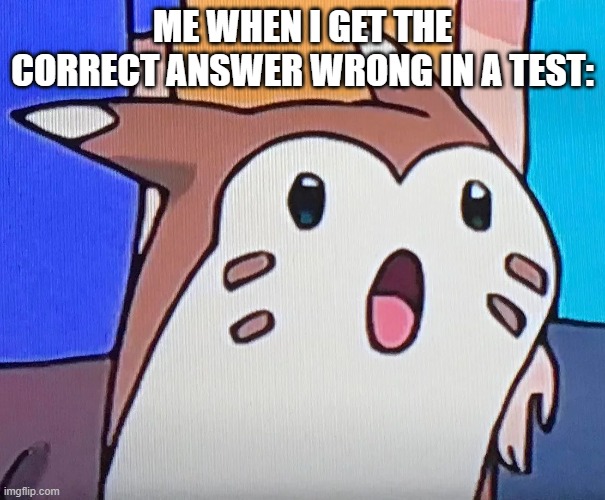 suprised furret | ME WHEN I GET THE CORRECT ANSWER WRONG IN A TEST: | image tagged in suprised furret | made w/ Imgflip meme maker